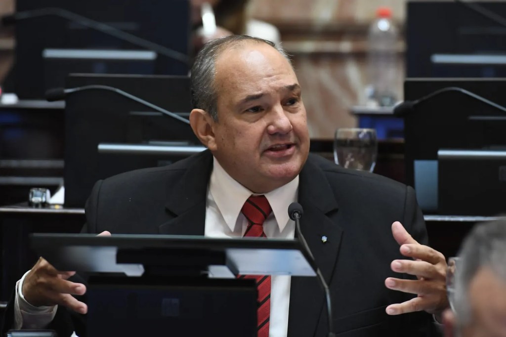 Leavy presentó un pedido formal en el Senado para interpelar a Karina Milei: “Tiene que dar&nbsp;explicaciones”