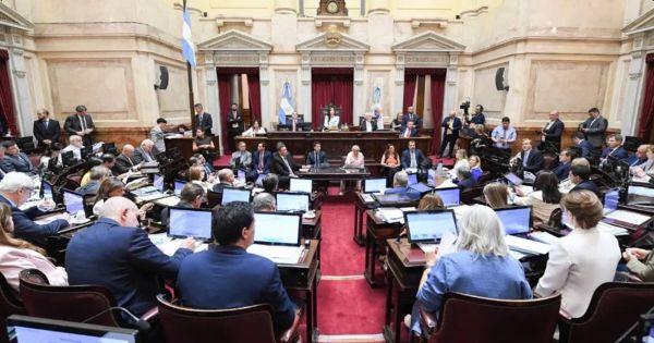 Senadores libertarios se oponen a una suba de dietas en la Cámara alta