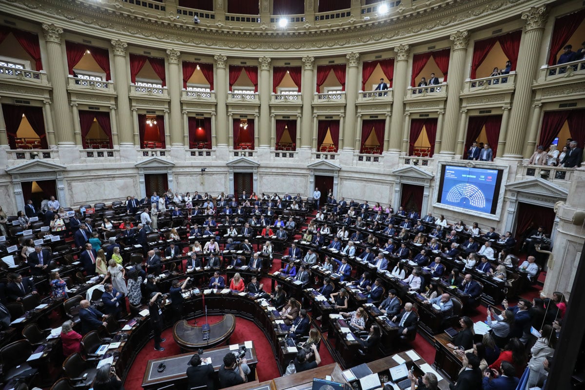 Diputados debatirá un proyecto para incorporar a las personas electrodependientes en el Censo Nacional